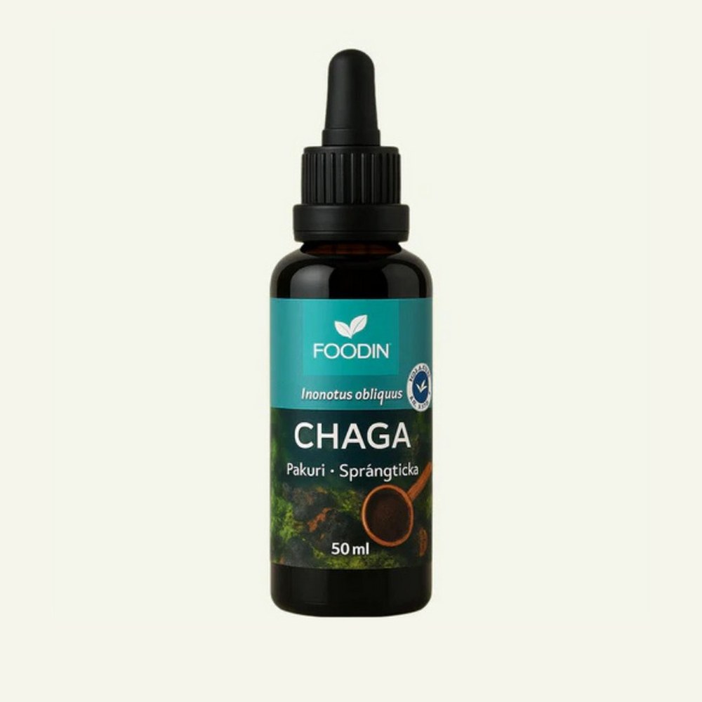 CHAGA sveppadropar frá FOODIN, aðalmynd