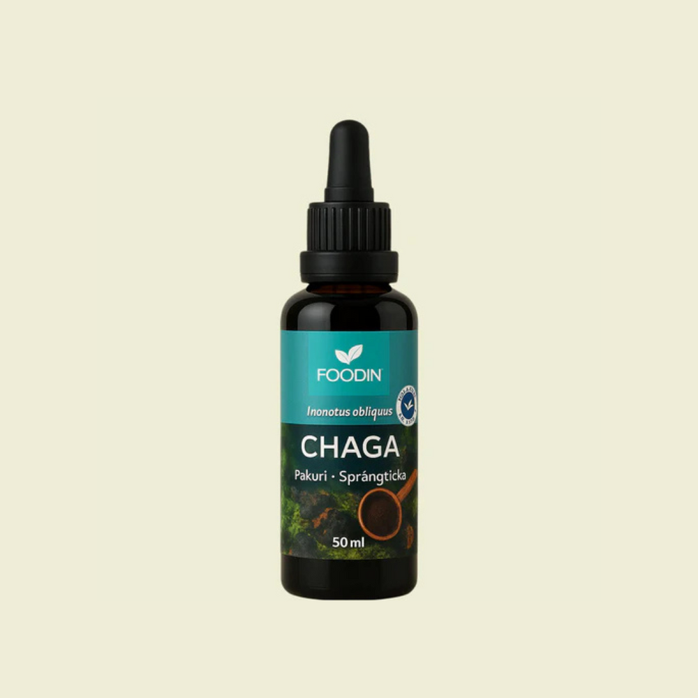 CHAGA sveppadropar frá FOODIN, aðalmynd