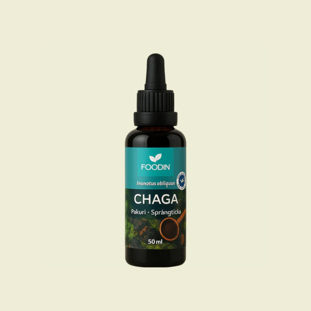 CHAGA Sveppadropar