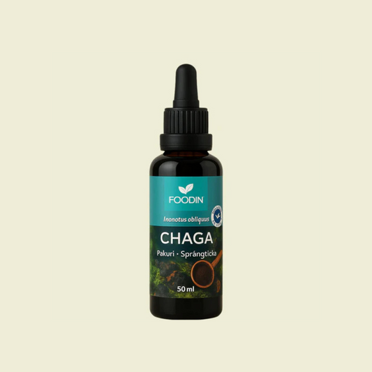 CHAGA Sveppadropar