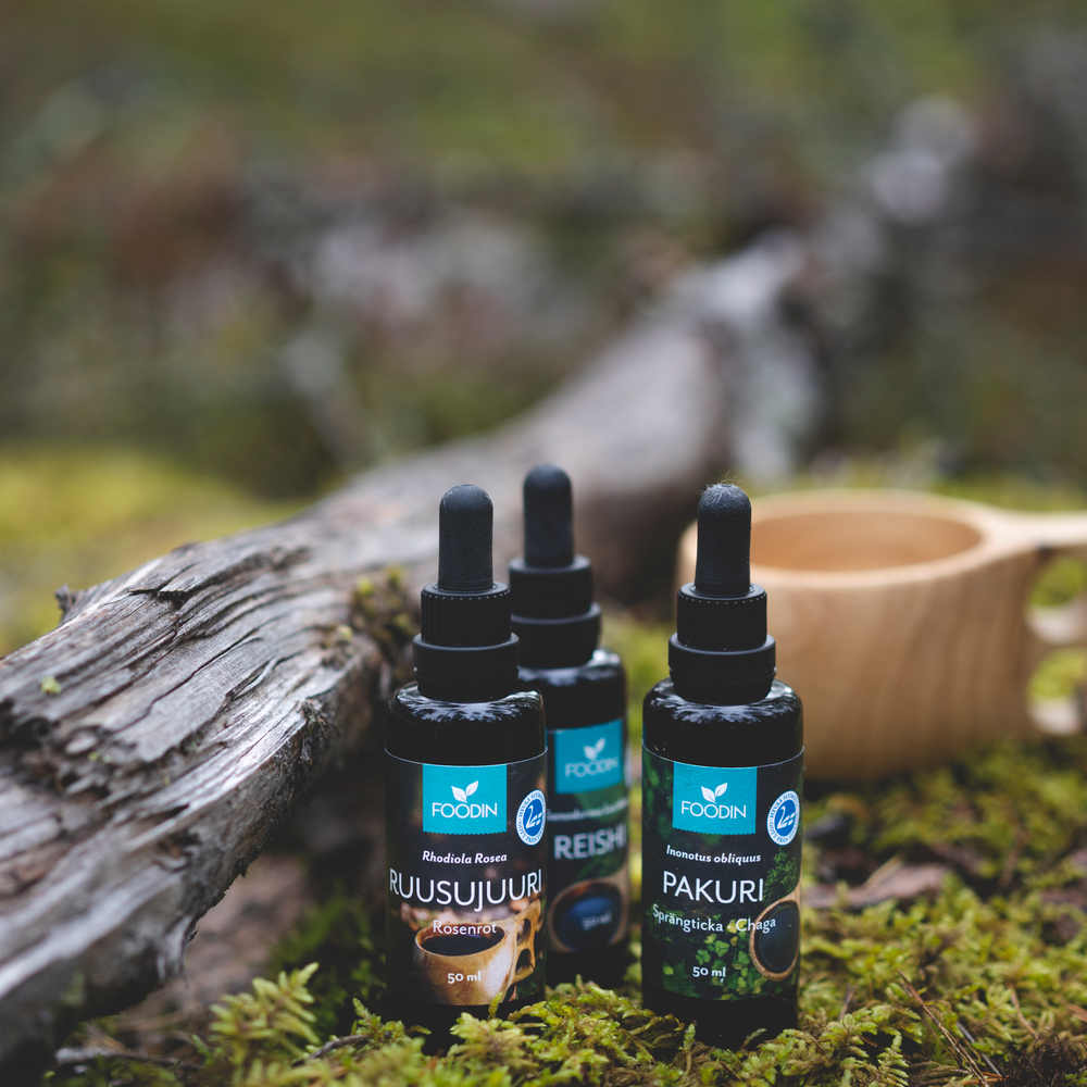 CHAGA sveppadropar, 50 ml flaska