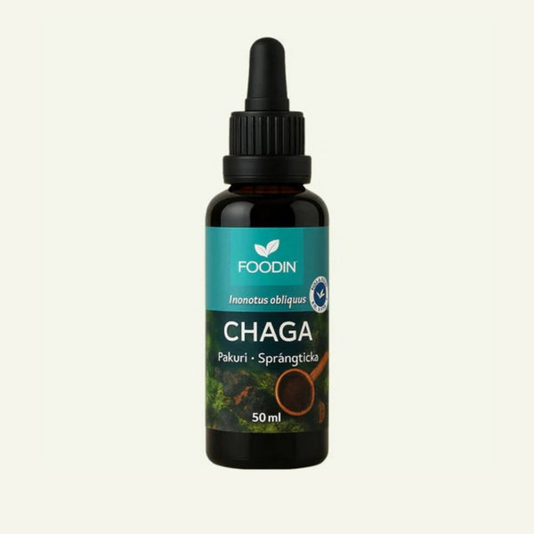 CHAGA Sveppadropar